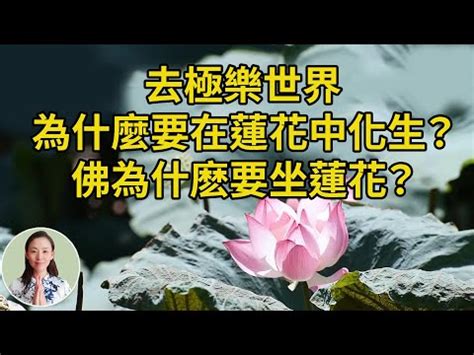 蓮花意思